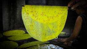 Capture the culinary artistry of Hue’s rice paper making workshops